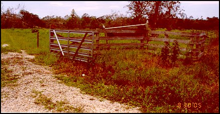 Tree Farm Entrance after Katrina
