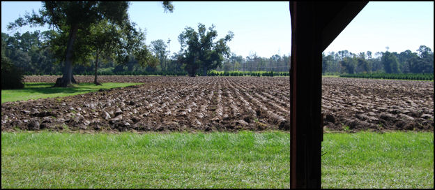 Field 'B' after First Plowing