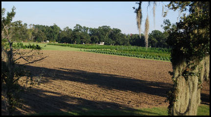 Elevated View of Fields