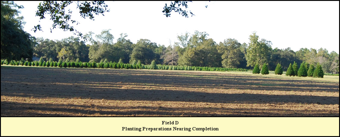 Field D at Shady Pond almost ready for planting.