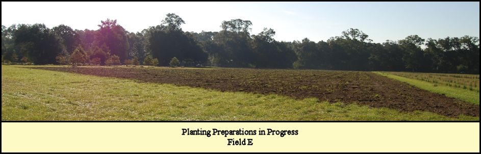 Planting preparations underway for Field E at Shady Pond Tree Farm