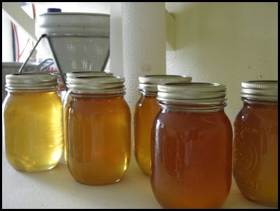 Lynchard honey at Shady Pond.