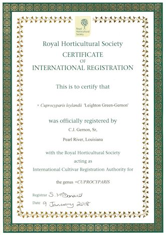 RHS Certificate for Shady Pond's Leighton Green-Gernon.