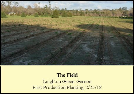 The completed field at Shady Pond