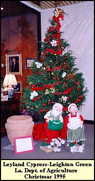 LDAF Tree-1995