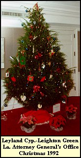 Attorney General's Tree-1992