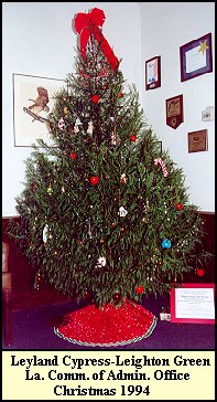 La. Comm. of Adm. Office Tree