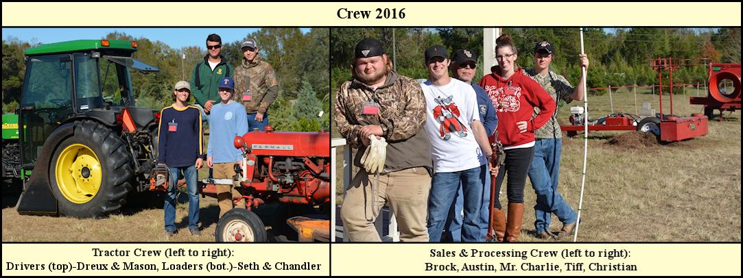 Shady Pond Tree Farm Crew for 2016 Season