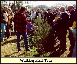 Growers Tour Fields of Christmas Trees at Shady Pond
