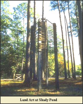 A Folie in the Woods
