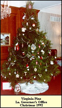 Governor's Tree-1992