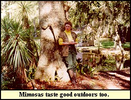 A Water Oak, Spanish Daggers, and a Mimosa