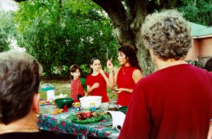 Wildlife Friendly Christmas Decorations
