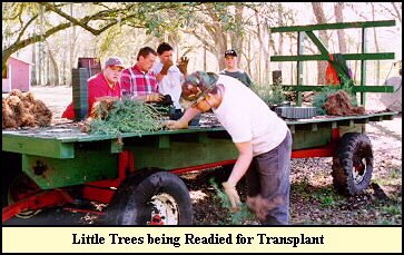 Pulling Trees and Disturbing Roots