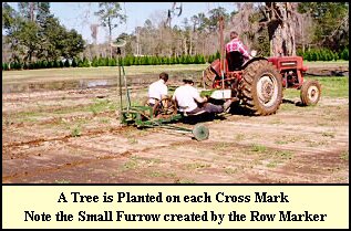 One row marker is up while the other is down. They are switched at row's end.