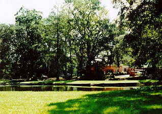 The Pond at Shady Pond