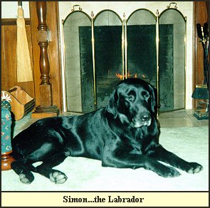 Simon