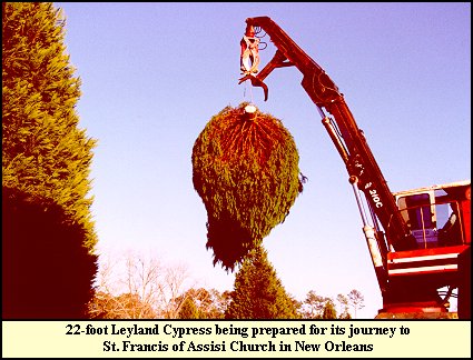 Rigged Giant Leyland being Crane Loaded